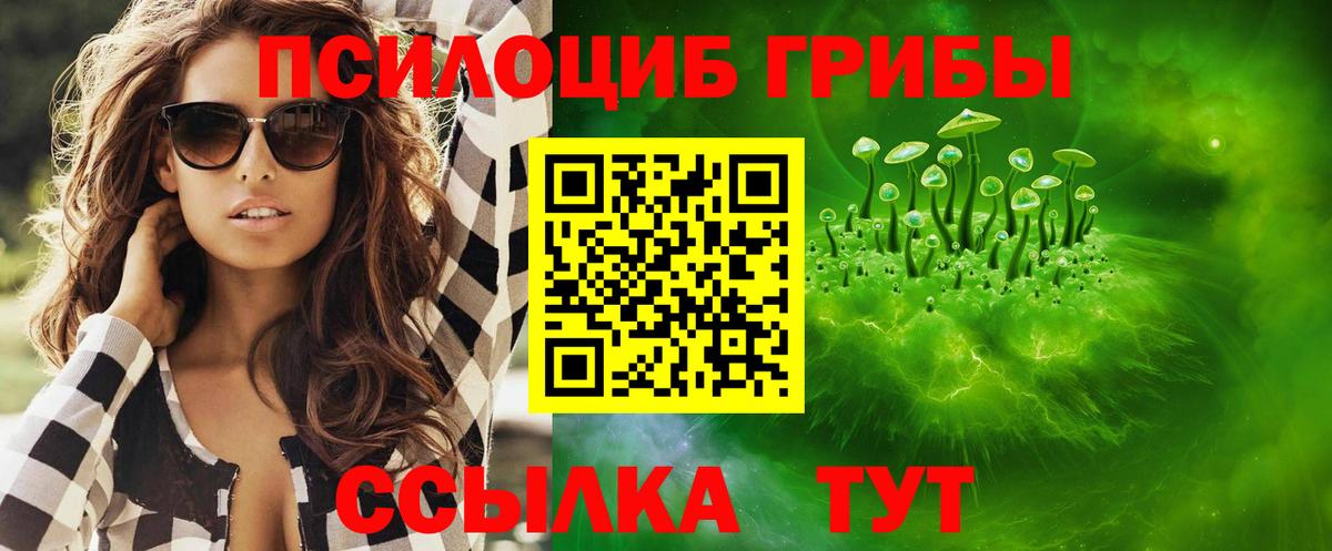 Белорецк  Псилоцибиновые грибы GOLDEN TEACHER  Вход с VPN  Псилоцибиновые грибы Psilocybine cubensis 